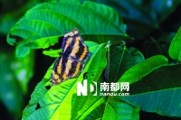 010937ychc2zsfhwzh71oh