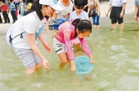 152352siz9z3qllkzizi5o