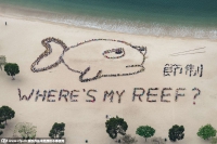 15年儿童海洋日-2