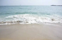 微信图片_20190819205605