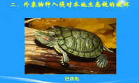 微信图片_20190819160259