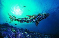 微信图片_20190812112134