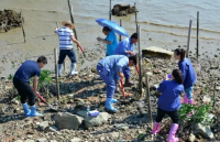 微信图片_20190819160110