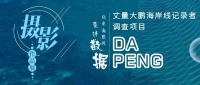 50幅摄影作品定格海洋生态之美 | 大鹏这场海洋摄影展免费开放别错过!
